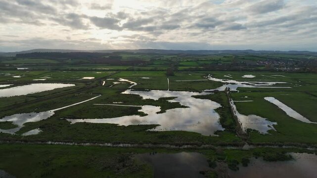Wetlands and meadows in RSPB Exminster and Powderham Marshe from a drone, Exeter, Devon, England