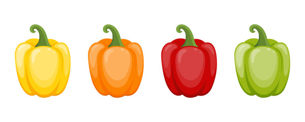 Vector set of colored bell peppers. Green,red yellow, and orange peppers. Vector food illustration.