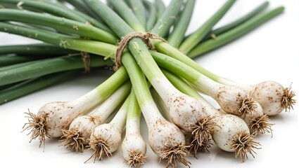 Fototapeta premium Fresh scallions tied with twine roots dusty bulbs glistening