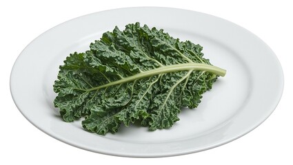 Fresh dark green kale leaf on white plate wrinkled texture and prominent central stem