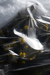 Abstract Nature: Yellow Flowers Beneath Transparent Wrapping