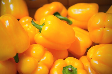 スーパーマーケットで山積みで売られてた淡色野菜の黄色いパプリカ