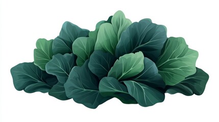 Obraz premium Fresh Green Cabbage Leaves on a White Background for Healthy Cooking Ideas