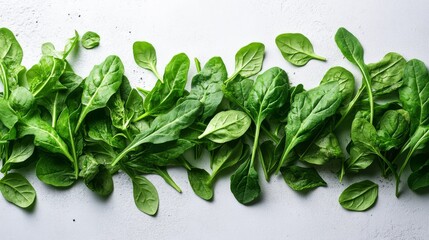 Lush Fresh Arugula Leaves Scattered Delicately Across the Frame Creating a Green Tapestry of Vibrancy and Elegance