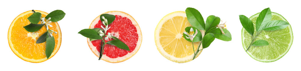 Different citrus fruits and plant branches isolated on white, set