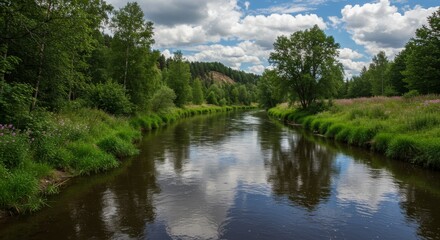 Obraz premium mountain river in the forest
