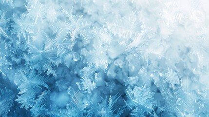 Intricate Ice Crystals Forming a Frosty Layer on a Cool Surface, Capturing the Beauty and Texture of Wintertime Natural Phenomena in Blue and White Hues