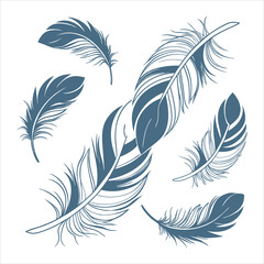 feather and plume silhouette vector illustration.