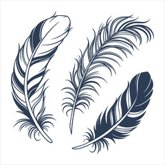 Obraz premium feather and plume silhouette vector illustration.