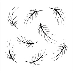 feather and plume silhouette vector illustration.