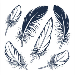 feather and plume silhouette vector illustration.