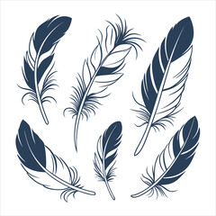 feather and plume silhouette vector illustration.