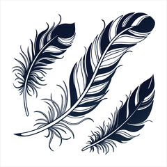 Obraz premium feather and plume silhouette vector illustration.