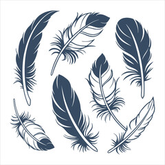 feather and plume silhouette vector illustration.