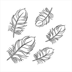 Obraz premium feather and plume silhouette vector illustration.