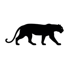 Obraz premium Silhouette of a Walking Panther