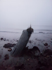 Fraser river  in the foggy morning