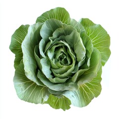 Obraz premium Fresh green cabbage head, overhead view.