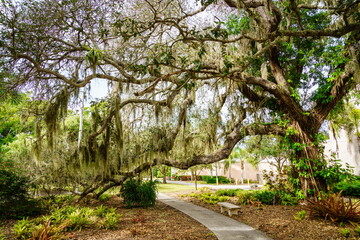 Walkpath in а park