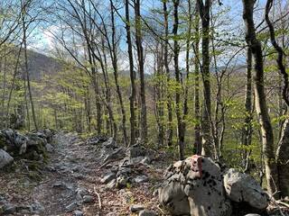 Premuzic hiking trail or Premuzic Trail - Velebit Nature Park, Croatia or Premuzic-Wanderweg or Premuzic's Trail (Pješački planinarski put Premužićeva staza - Park prirode Velebit, Hrvatska)