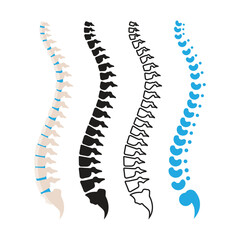 Human Spine Bone Vector Illustration