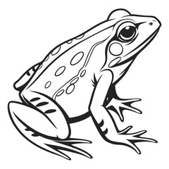 Naklejka premium frog black outline, vector drawing PNG