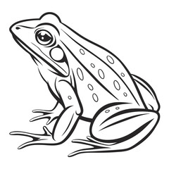 frog black outline, vector drawing PNG