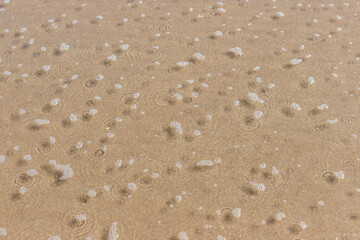 Sea foam, Praia de Esmoriz