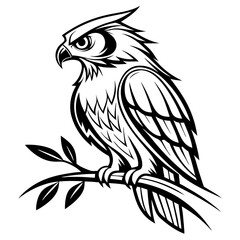 Obraz premium owl black outline vector drawing PNG