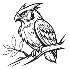 Obraz premium owl black outline vector drawing PNG