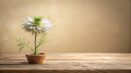 Serene white flower in a simple wooden bowl on rustic wooden table against a muted beige background
