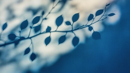 Serene Shadow: A Branch's Silhouette on a Textured Blue Background