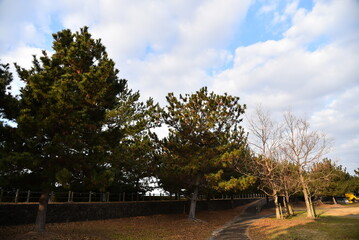佐賀県　干潟よか公園の風景