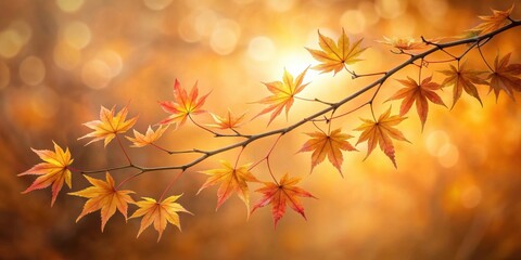Fototapeta premium Autumnal Branch with Vibrant Maple Leaves Glowing in the Warm Light of the Setting Sun