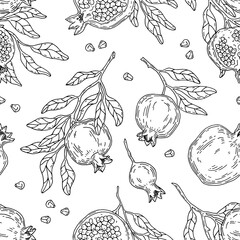 Seamless fruit pattern. Sketches of pomegranate fruits and branches chaotically arranged on white background. Hand drawn for fabric, packaging, cover, wallpaper.