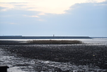 Obraz premium 佐賀県 有明の明朝の風景
