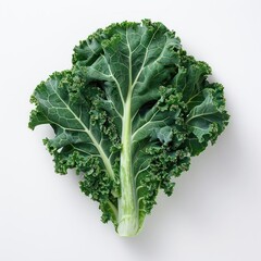 A leafy green vegetable with curly leaves, possibly kale or cabbage.