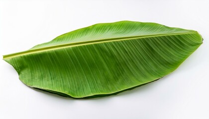 Fototapeta premium Vibrant green banana leaf on white background.