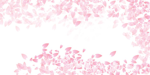 和柄　桜　春　背景