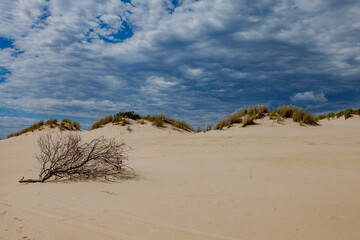 Henty Dunes, Strahan , West Coast, Tasmania, Australia