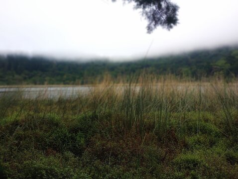 Laguna Verde, Apaneca, laguna volc&aacute;nica a 1800 msm, espejo de agua dulce, cultivo de juncos.