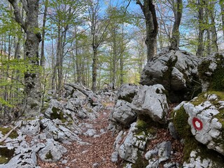 Premuzic hiking trail or Premuzic Trail - Velebit Nature Park, Croatia or Premuzic-Wanderweg or Premuzic's Trail (Pješački planinarski put Premužićeva staza - Park prirode Velebit, Hrvatska)