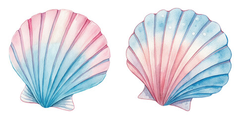 Two colorful seashells with distinct patterns and hues, showcasing a blend of pink and blue colors in a stylized design.