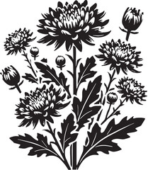 Black Color Chrysanthemums Silhouette Vector Illustration, Solid White Background. minimal vector design