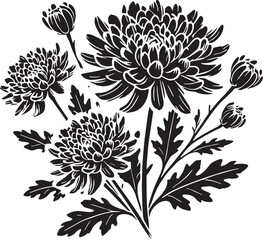 Black Color Chrysanthemums Silhouette Vector Illustration, Solid White Background. minimal vector design