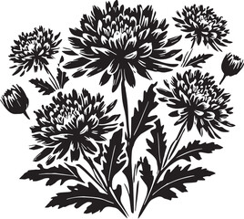 Black Color Chrysanthemums Silhouette Vector Illustration, Solid White Background. minimal vector design