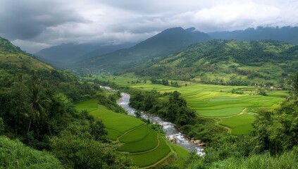Panoramic view of lush green valley with river and rice terraces under cloudy sky.
