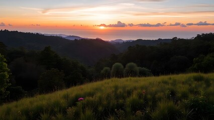 Fototapeta premium A hill at sunset.