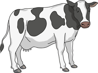 cartoon cow illustration