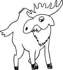 humpbacked forest big horned moose standing and looking down